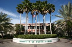 University of South Florida University of South Florida