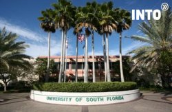INTO University of South Florida INTO University of South Florida