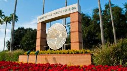 Прямое поступление в магистратуру University of South Florida Прямое поступление в магистратуру University of South Florida