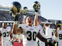 Бакалаврские программы Colorado State University Бакалаврские программы Colorado State University