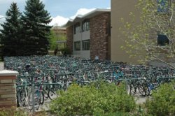Прямое зачисление в магистратуру в Colorado State University Прямое зачисление в магистратуру в Colorado State University