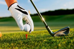 Профессии сферы гостеприимства: Генеральный директор гольф-клубаGeneral Manager, Golf Club Профессии сферы гостеприимства: Генеральный директор гольф-клубаGeneral Manager, Golf Club